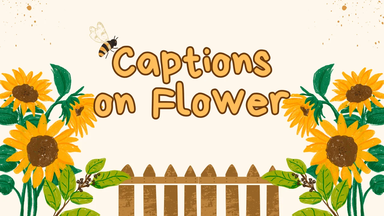 Captions on Flower