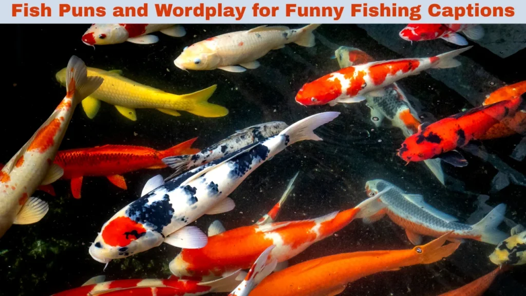 Fish Puns and Wordplay for Funny Fishing Captions