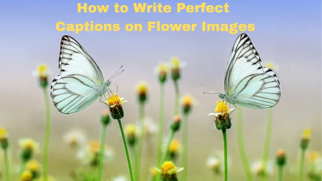 How to Write Perfect
Captions on Flower Images