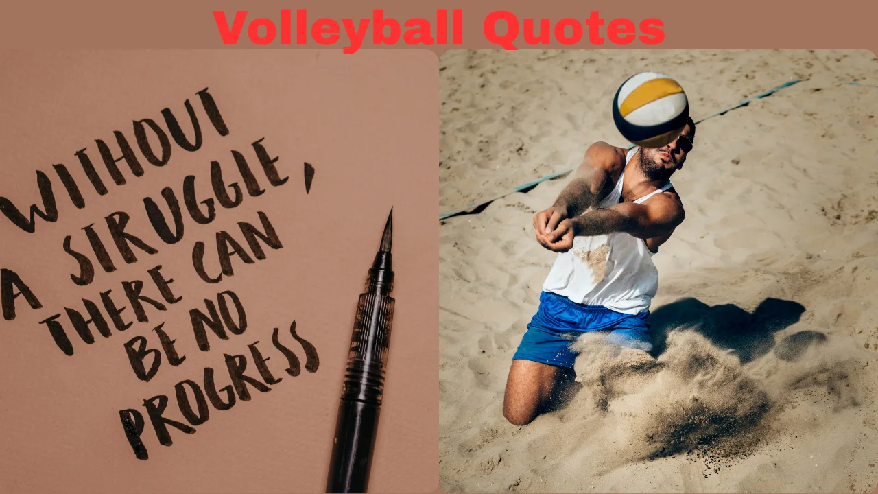 Volleyball Quotes