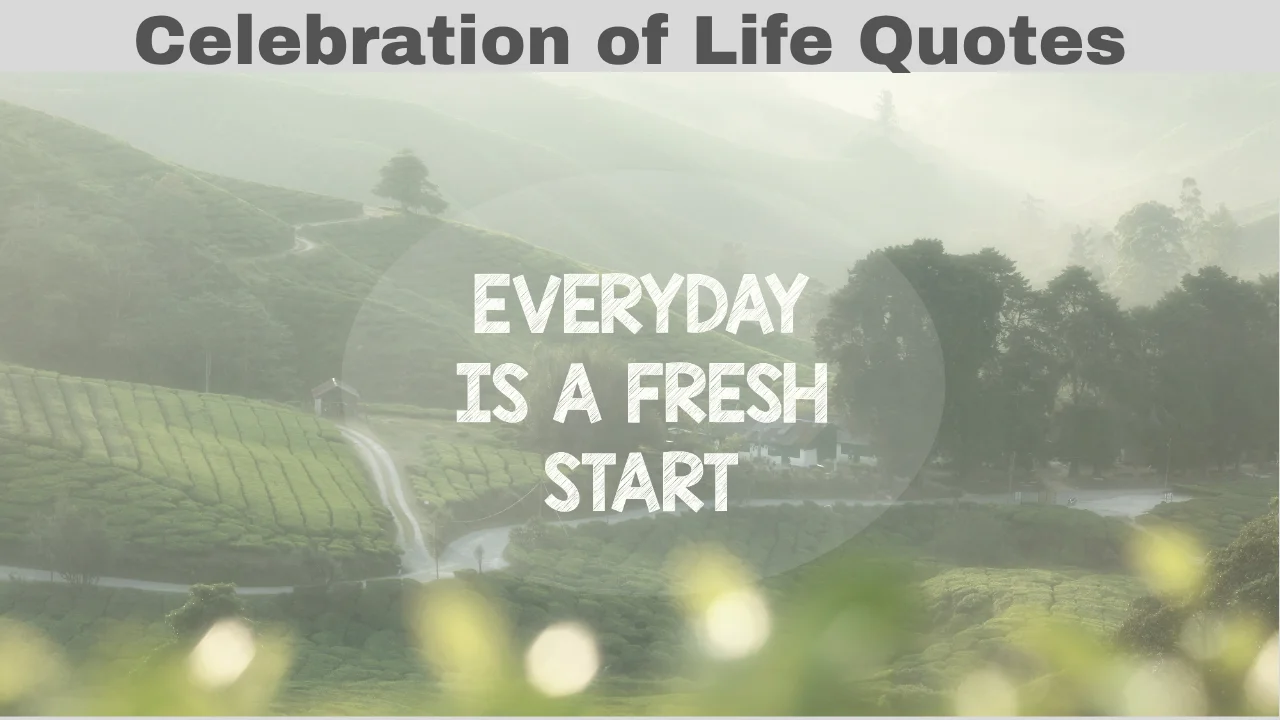 Celebration of Life Quotes