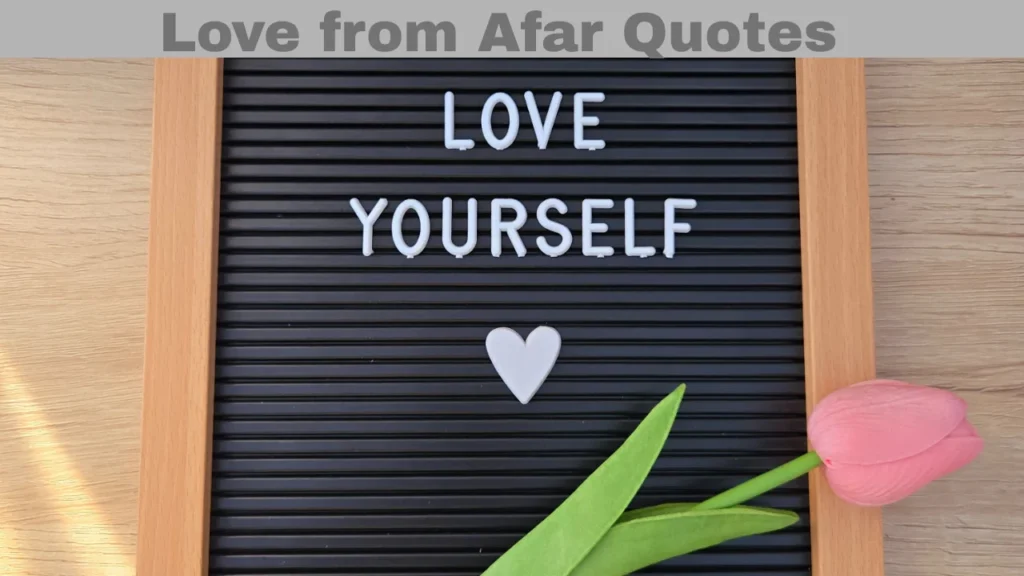 Quotes of Hidden Love and Love from Afar Quotes