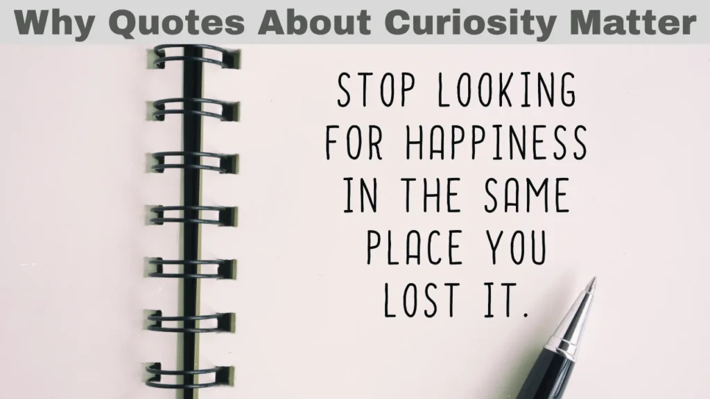 Why Quotes About Curiosity Matter